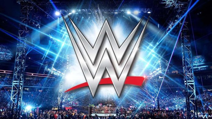 WWE Wrestling WWE Wrestling real or fake