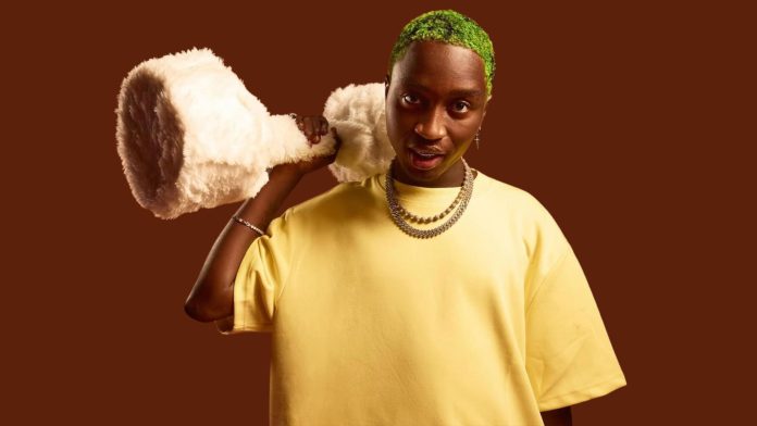 Tml Vibez Album lyrics